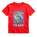 When Life Gets Stormy Learn To Dance In The Rain T Shirt Hippie Turtle Graphic Tee Retro Groovy Turtle Shirt Inspirational Dancing Turtle Shirt Gift For Turtle Lovers